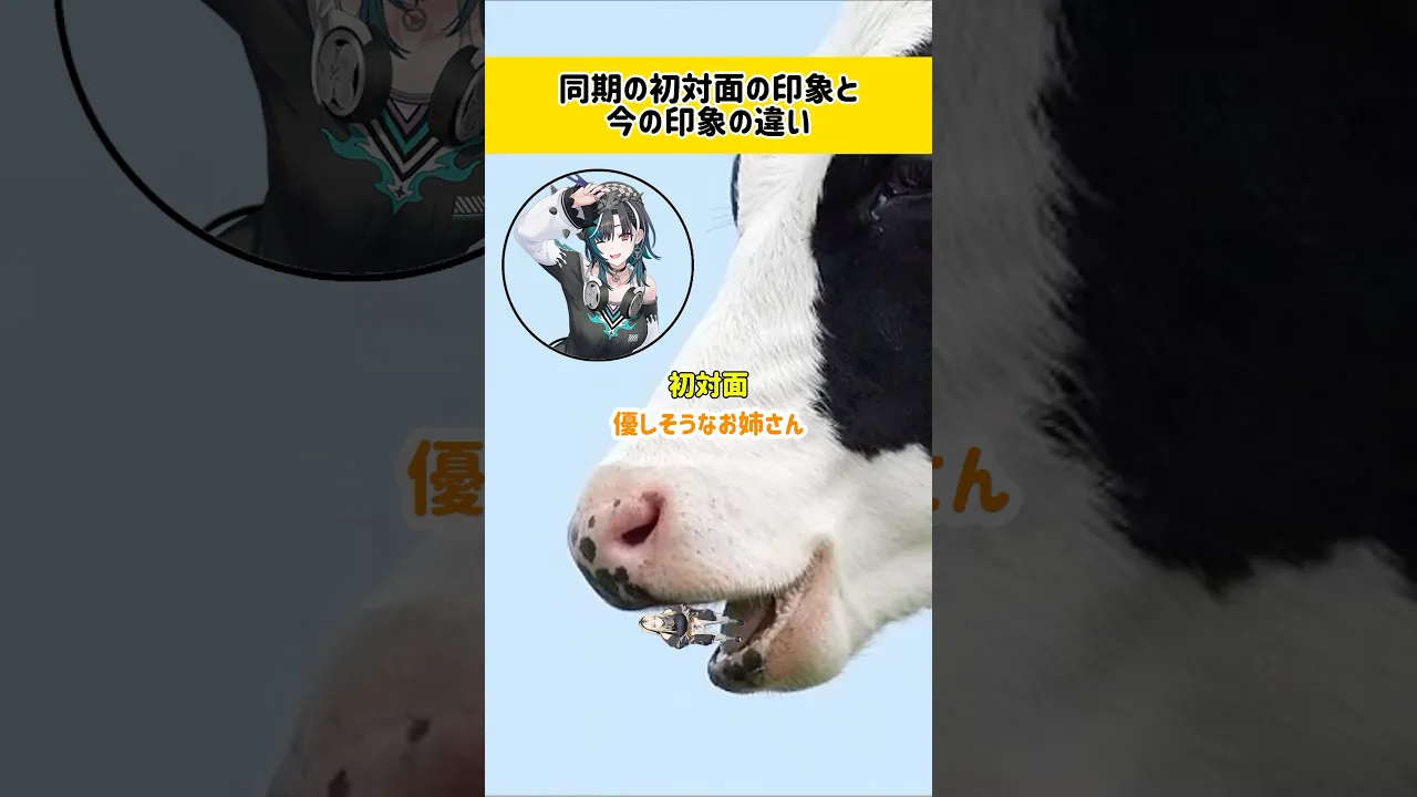 牛さんのお口くっちゃぁ〜♡ #虎のいる生活