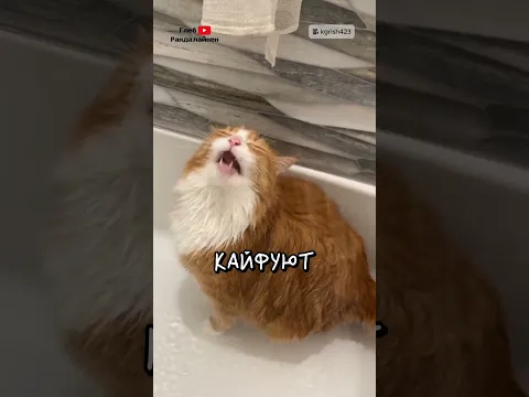 Кайф от Дождика 💦