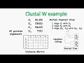 Clustal W Guide Tree