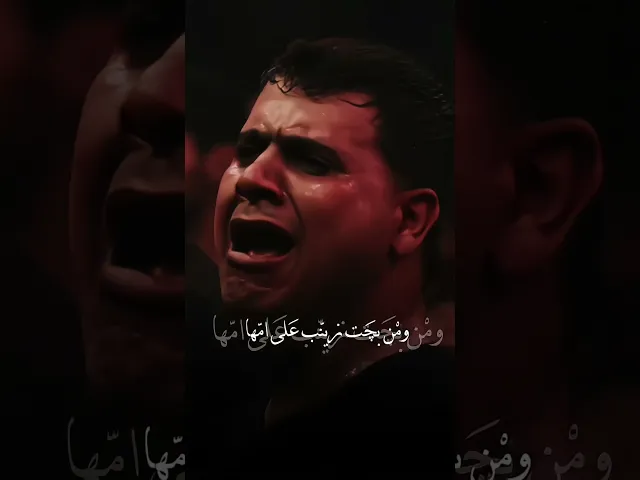 مالي ذنب // مرتضى حرب