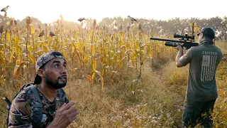 Pigeon hunting in a cornfield in El Salvador
