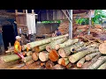 Lagu Amazing Skills! Expertise in Sawing Two Chunks of Super Waru Wood Quickly and Precisely