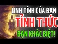 Lagu Linh Tính Của Bạn Đã Được Đánh Thức - Bạn Tỉnh Thức Và Bạn Khác Biệt!