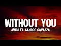 Avicii - Without You (Lyrics) ft. Sandro Cavazza