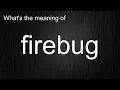 What s the meaning of firebug How to pronounce firebug