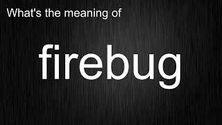 What s the meaning of firebug How to pronounce firebug