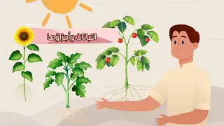 النباتات وأجزائها علوم الصف الأول الابتدائي الفصل الدراسي الأول 