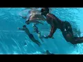 THE BEST OF 2024 weightlifting underwater edition DEEP END HAWAII VLOG
