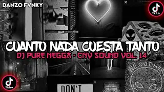 Download DJ PURE NEGGA - Cnv Sound Vol. 14 CUANTO NADA CUESTA TANTO VIRAL TIKTOK 2023 MP3