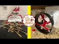 2025 Hilarious ELF ON THE SHELF Ideas That Went WAY Too Far Part 13 Adriana Minadi