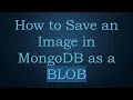 How to Save an Image in MongoDB as a BLOB