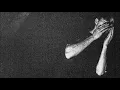 David August - TRUE HEART