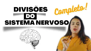 Neuroanatomia - Divisões do Sistema Nervoso (anatômica, funcional, segmentar e embriológica)