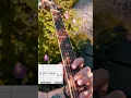 Download Lagu How to Play Jazz Guitar (for flowers \u0026 bees)!