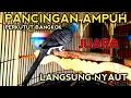 Download Lagu PANCINGAN PERKUTUT BANGKOK JUARA - LANGSUNG GACOR