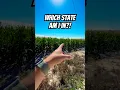 Download Lagu Do you think caches like this should be allowed? Be careful searching for Geocaches like this! ⚠️