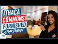 Furnished Apartment in Downtown Ithaca Commons