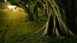 يا اخوتي ماذا نقول ام حزننا جلب البكاء نشيد 