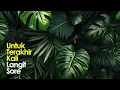 Download Lagu Langit Sore - Untuk Terakhir Kali (Official Lyric Video)