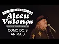 Download Lagu Alceu Valença - Como Dois Animais (Ao Vivo na Fundição Progresso)