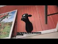 Animatronic Cashwise Grocery Store MooBell Bessie the Cow Wall plaque mount North Bismarck ND Store