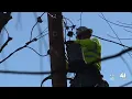 Officials Evergy staffed for possible power outages