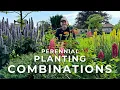 Perennial Combinations That Always Work – Garden Design Tips | Perennial Garden