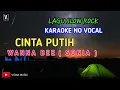 Download Lagu KARAOKE CINTA PUTIH - COVER WANNA BEE ( SONIA )