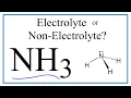 Is NH3 Ammonia an Electrolyte or Non-Electrolyte