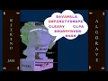 Swan Phrygian Auto-Wahs Livecode Commentary