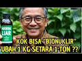 Download Lagu Modal Segenggam Pupuk Kimia, Efek Setara 1 Ton ??  Kok Bisa ?  Pasti Dia Sedang Bermimpi