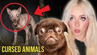 MY PUPPY REACTS TO CREEPY ANIMAL VIDEOS...(*SCARY!!*)