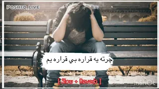 Pashto New Viral Song چيرته يی قراره بي قراره يم 