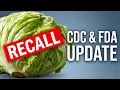 Cyclospora Outbreak 2026 Is Iceberg Lettuce Safe CDC FDA Recall Update