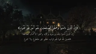 القارئ عمر ضياء الدين سورة فصلت 