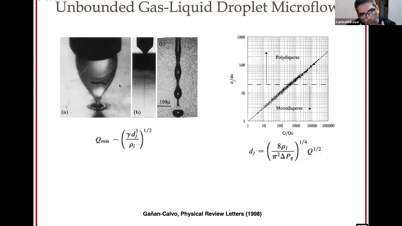 Gas-Liquid Droplet Microfluidics: Fundamentals and Applications - Carlos Hidrovo