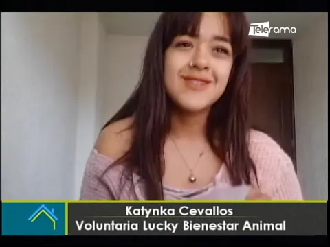 Mascotas rescatadas en el aluvión en La Gasca necesitan ayuda y hogares temporales