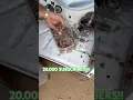 What I found in a dryer at 20k subs
