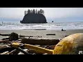 La Push Second Beach Oceanside Camping in Washington State