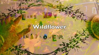 Life of a Wildflower Season 5 Trailer