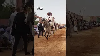 ركب لبيض سيد الشيخ فنتازيا الجزائر 803 