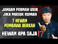 Lagu 7 hewan pembawa berkah- jangan pernah usir dari rumah‼️