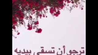 هل حقا تشتاق إليه 