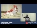 Rubyfuza 2015 Charles Nutter - Over 9000 JRuby in 2015