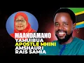 MAANDAMANO YAMUIBUA APOSTLE MHINI AMSHAURI RAIS SAMIA