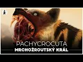 Download Lagu Pachycrocuta: Mrchožroutský král | Dokument - Pravěk | Zvířata