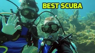 Roatan. The Best Scuba Diving of our trip!   Cruising the Caribbean.  Ep120