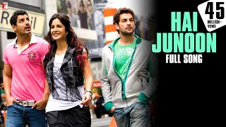 Hai Junoon Song New York John Abraham Katrina Kaif Neil Nitin Mukesh KK Pritam ह ज न न 