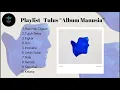 PLAYLIST TULUS “ALBUM MANUSIA” TERBARU 2022 (Hati-hati dijalan, Tujuh belas, Ingkar, Diri, dst)