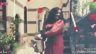 مثل الفراشة الحايمي عالنووور    أصالة دندنها